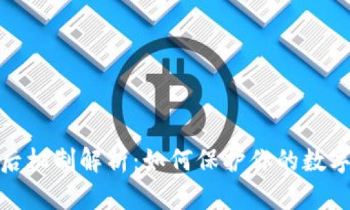 tp钱包背后机制解析：如何保护你的数字资产安全