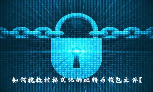 如何挽救被格式化的比特币钱包文件?